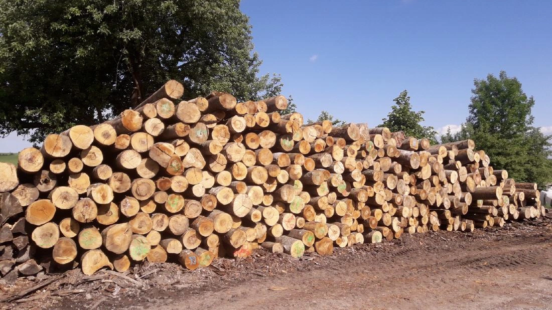 Brennholz und Holzlager von Brennholz Boneberg