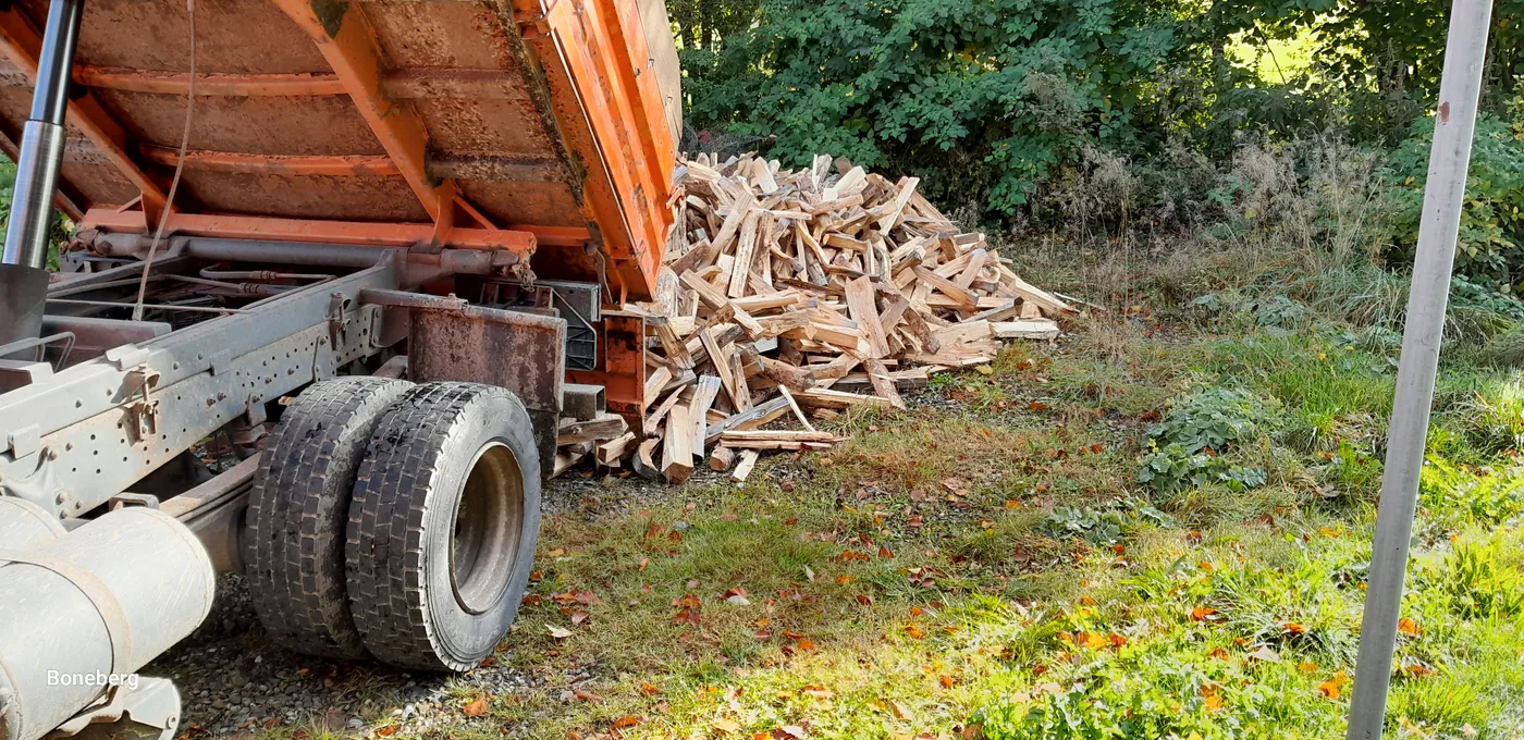 Brennholz wird lose auf einem Grundstück abgekippt