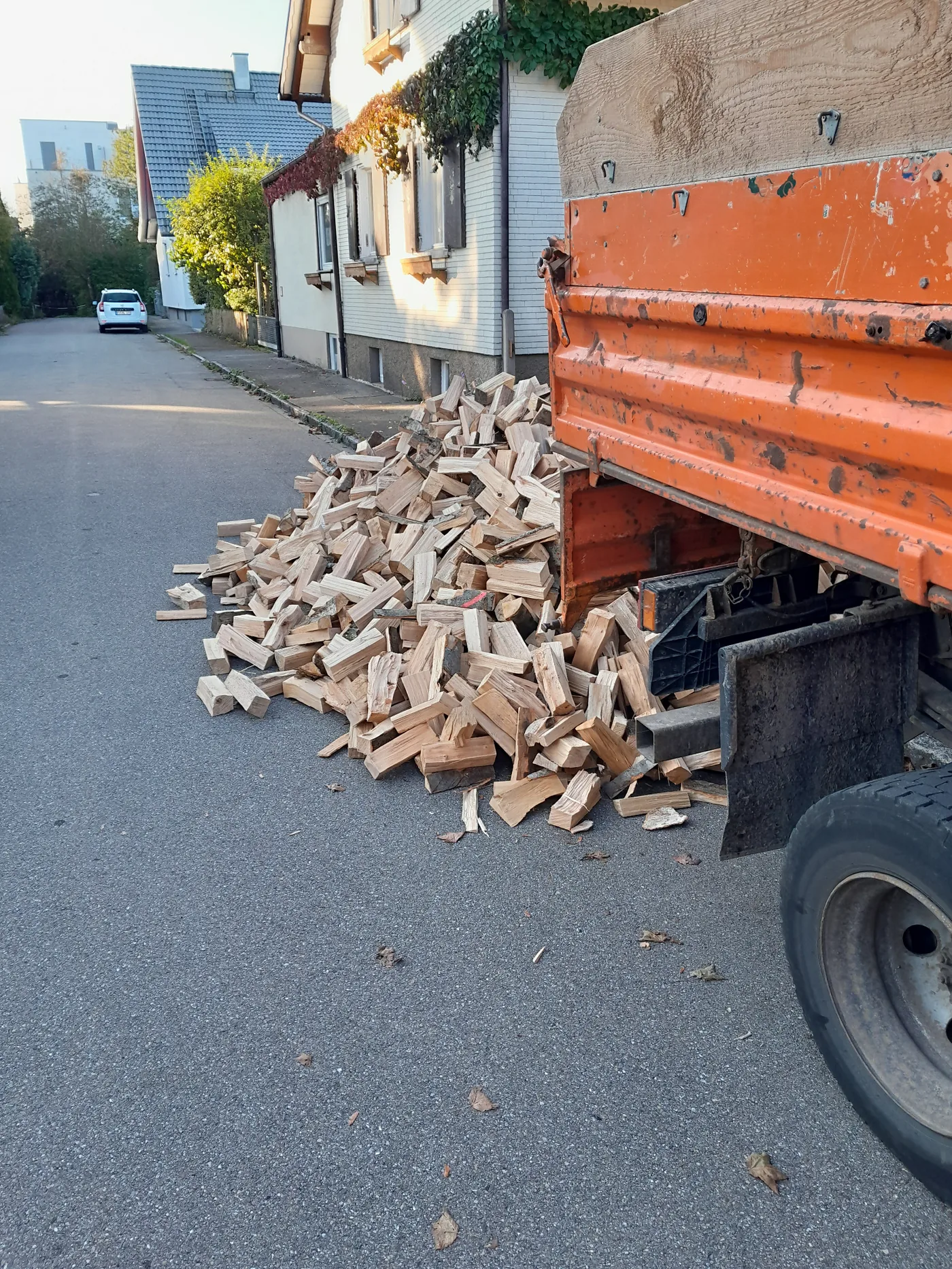 Lose Brennholzlieferung am Straßenrand