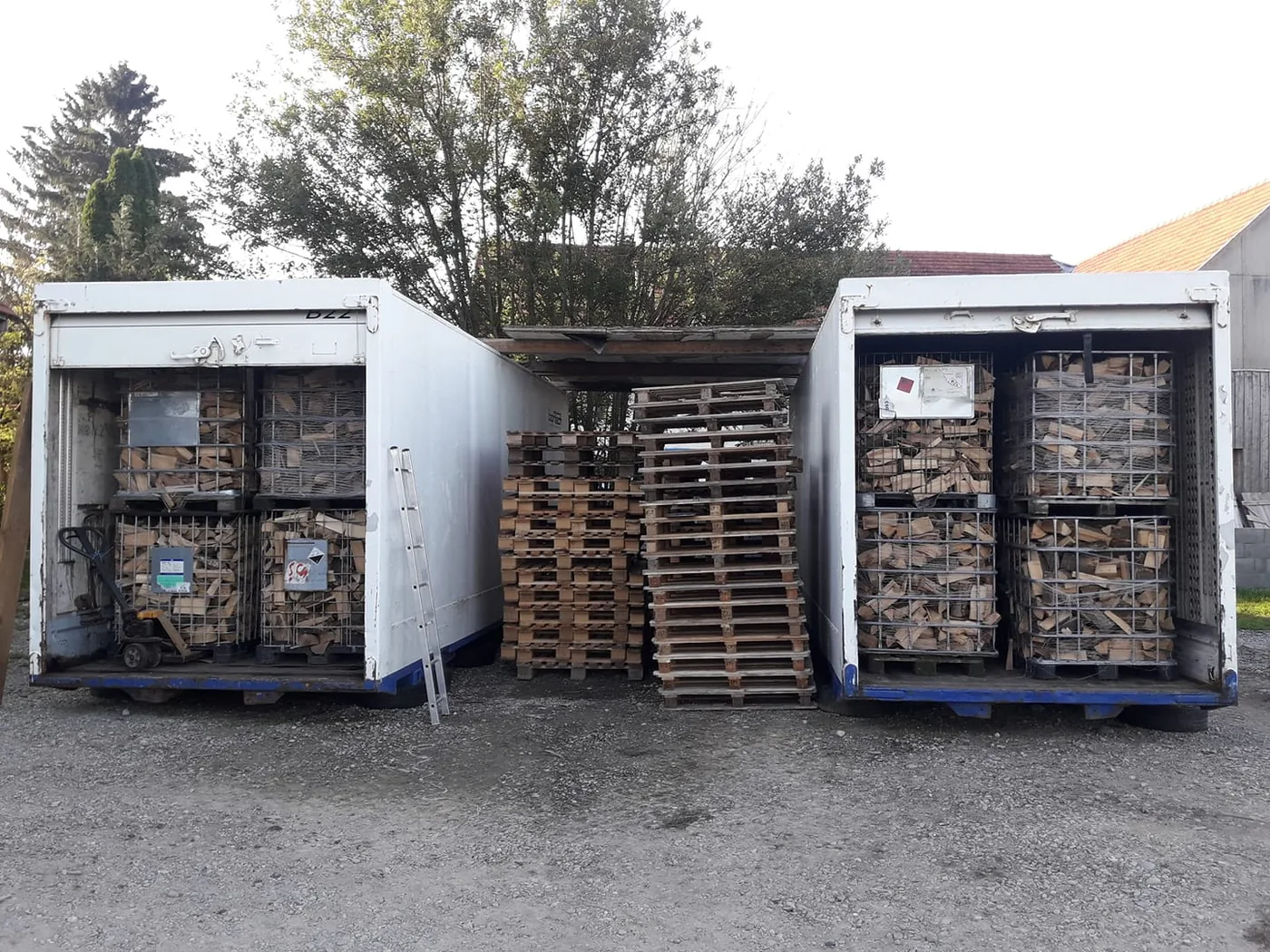 Brennholz in der technischen Trocknung